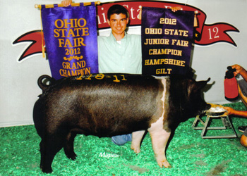 12-champion-hampshire-gilt-ohio-state-fair-cody-clyburn